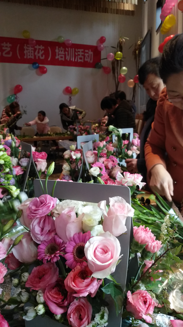 初见眉目1.png 初见眉目1.png