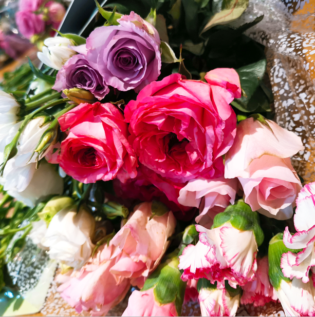 另类的视角.png 另类的视角.png